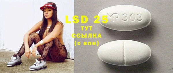 МДПВ Пересвет