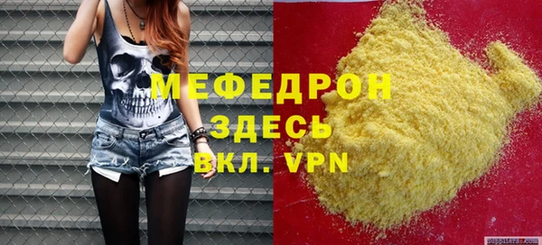 МДПВ Пересвет