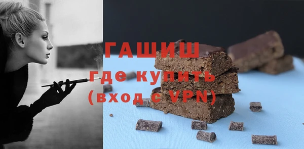 МДПВ Пересвет