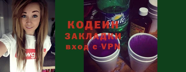 МДПВ Пересвет